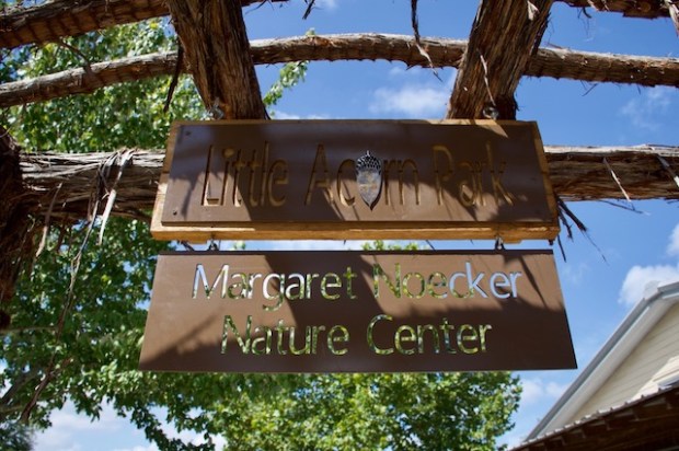 Little Acorn Park Sign